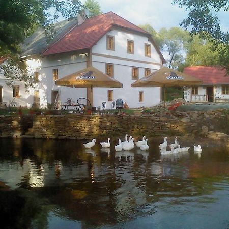 Willa Biofarma Dolejsi Mlyn Kamberk Zewnętrze zdjęcie