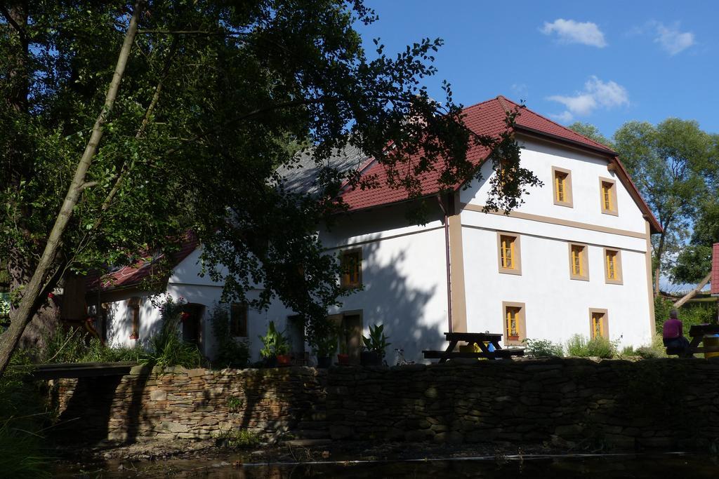 Willa Biofarma Dolejsi Mlyn Kamberk Zewnętrze zdjęcie