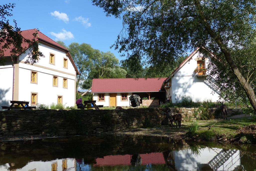 Willa Biofarma Dolejsi Mlyn Kamberk Zewnętrze zdjęcie