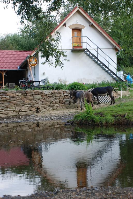 Willa Biofarma Dolejsi Mlyn Kamberk Zewnętrze zdjęcie